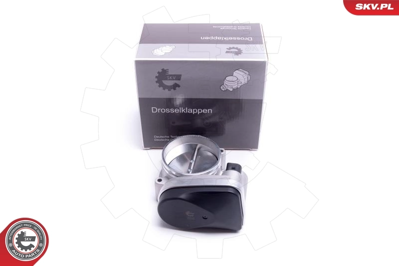 Throttle Body